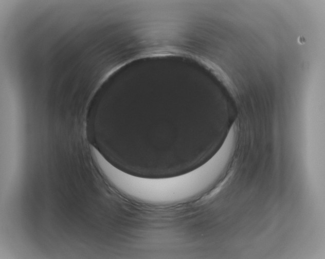 X0000111421457200907271133