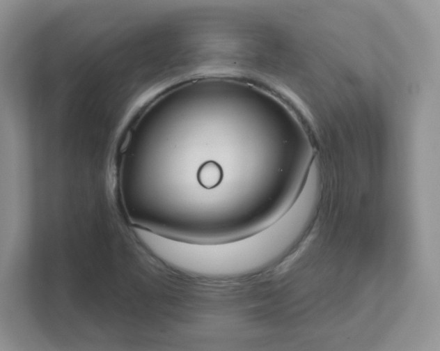 X0000111421461200907271133