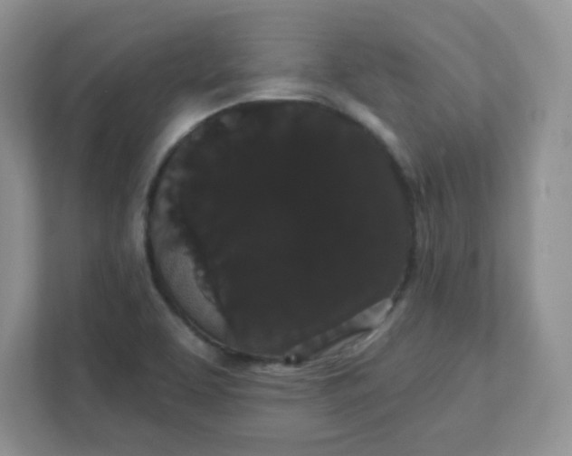 X0000111421463200907271133