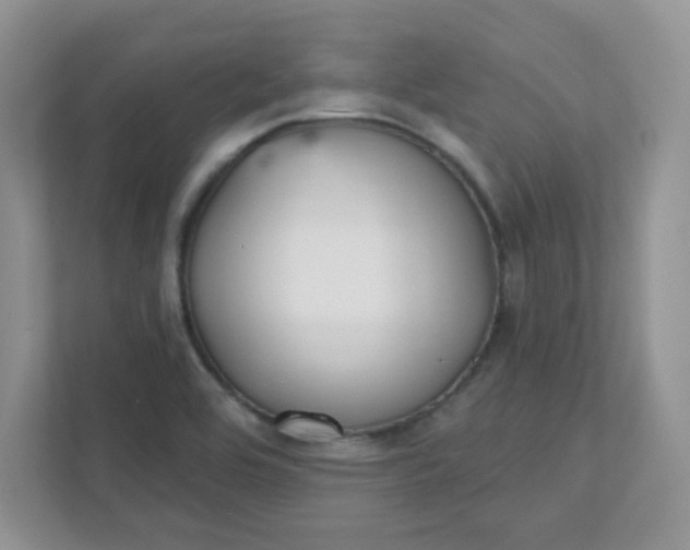 X0000111421464200907271133