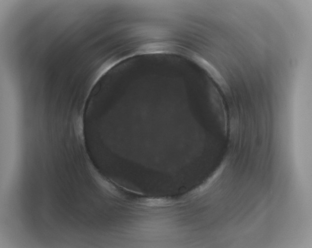 X0000111421465200907271133