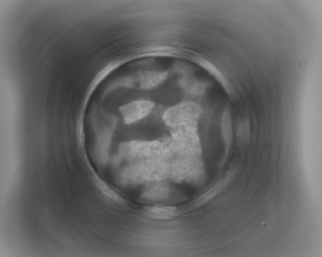 X0000111421466200907271133