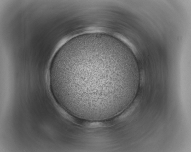 X0000111421467200907271133