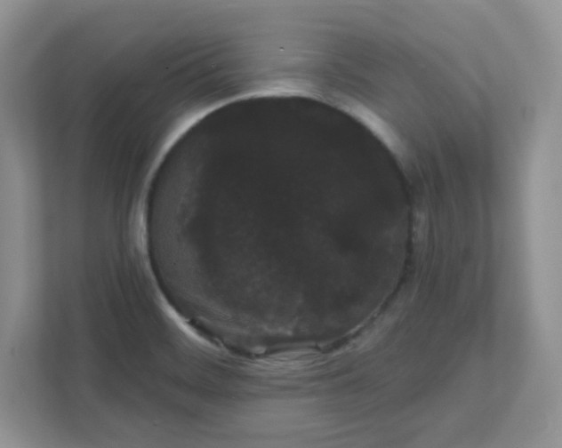 X0000111421468200907271133