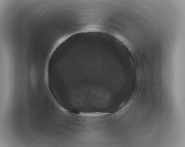 X0000111421469200907271133