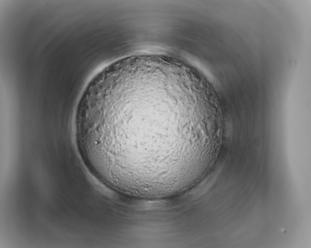 X0000111421471200907271133