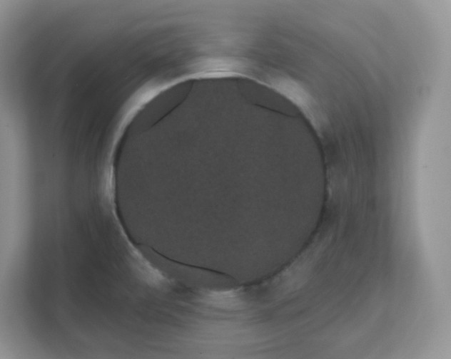 X0000111421472200907271133