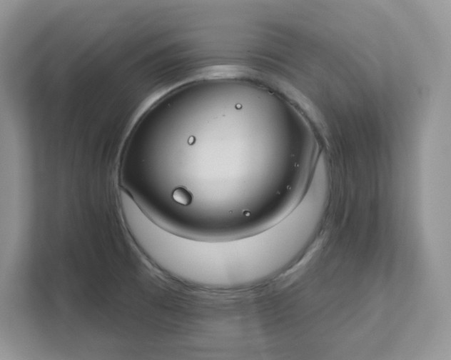 X0000111421473200907271133