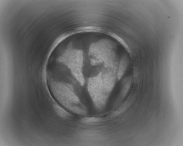 X0000111421474200907271133