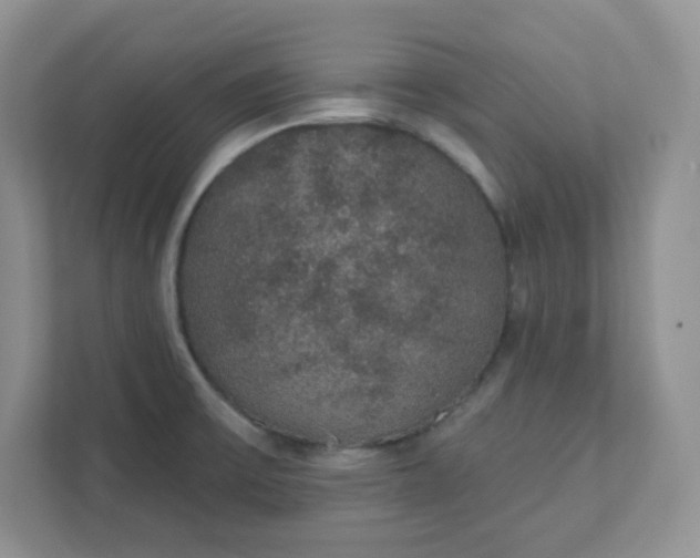 X0000111421475200907271133