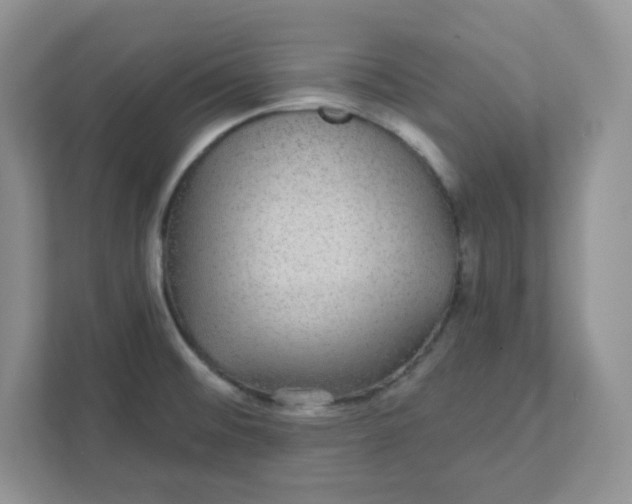 X0000111421476200907271133