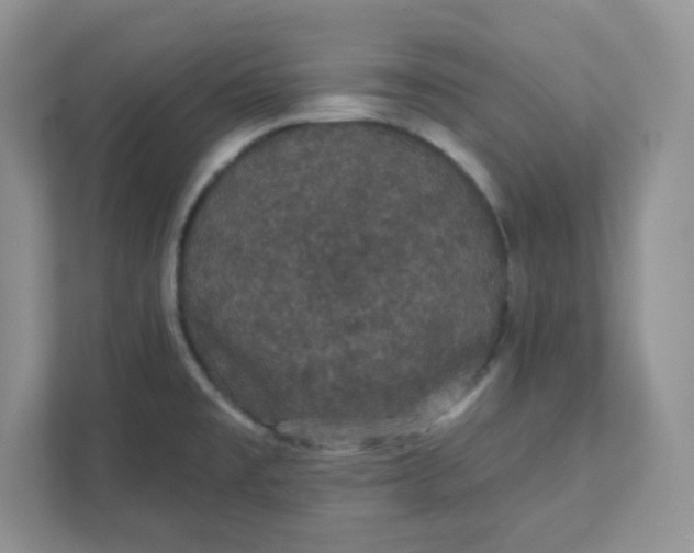 X0000111421477200907271133