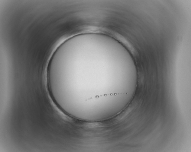 X0000111421479200907271133