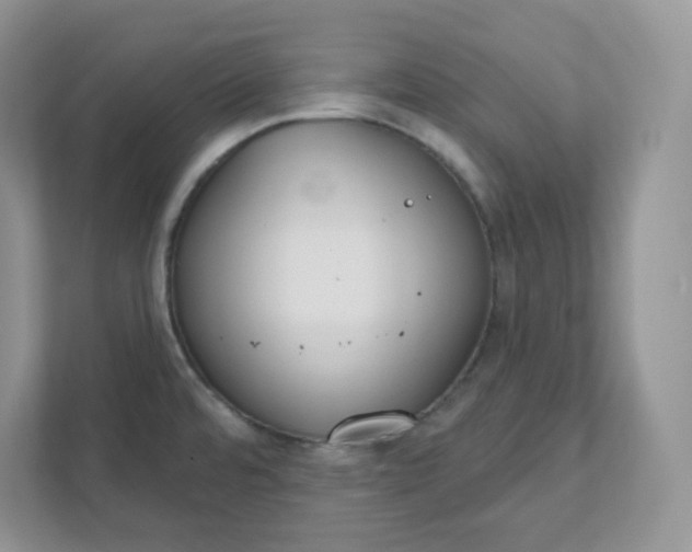 X0000111421480200907271133