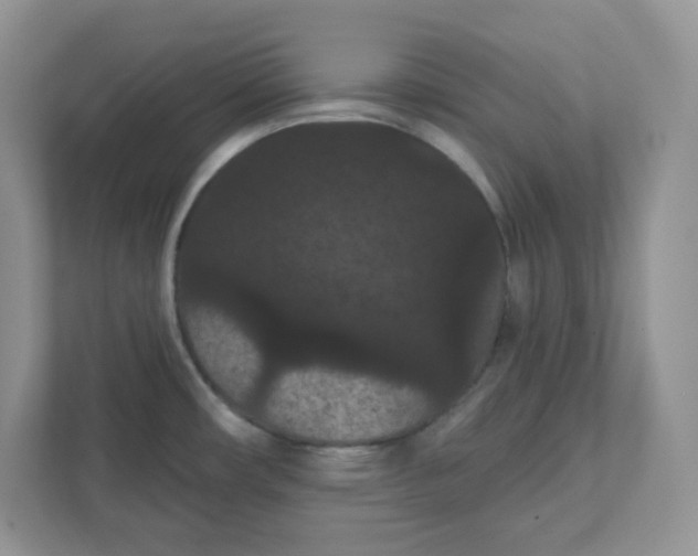 X0000111421482200907271133