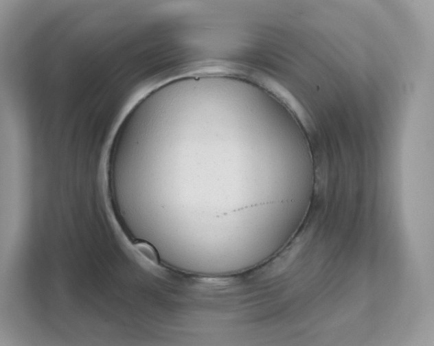 X0000111421483200907271133