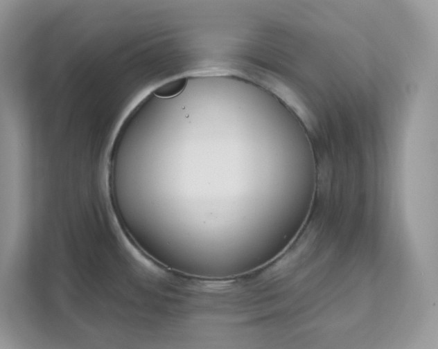 X0000111421484200907271133