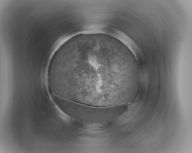 X0000111421485200907271133