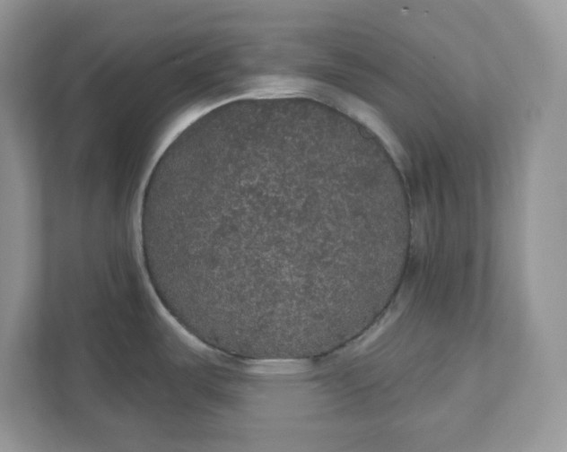 X0000111421487200907271133