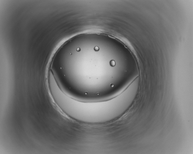 X0000111421488200907271133