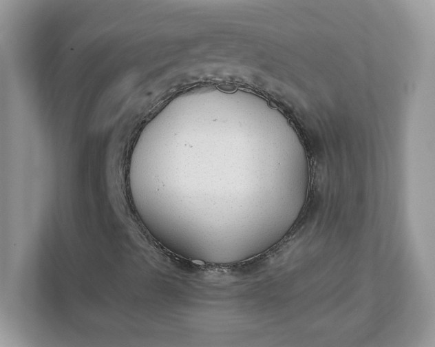 X0000111421489200907271132