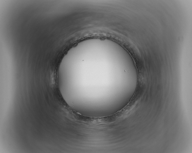 X0000111421490200907271132