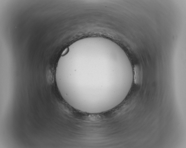 X0000111421491200907271132