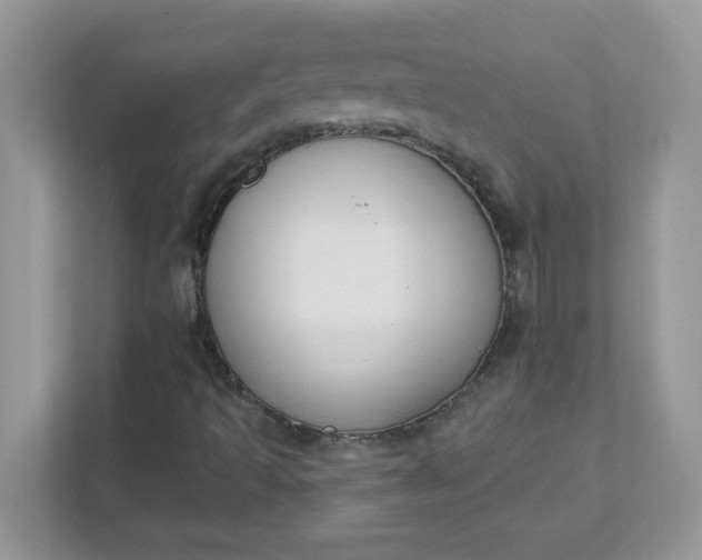 X0000111421493200907271132