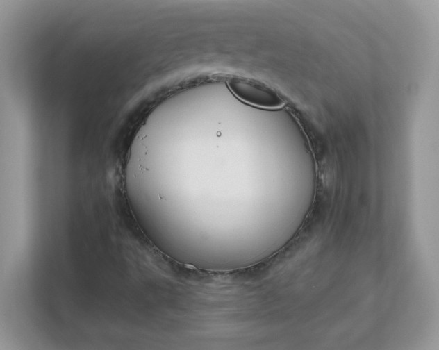 X0000111421495200907271132