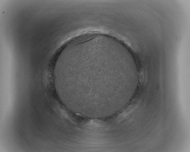 X0000111421496200907271132