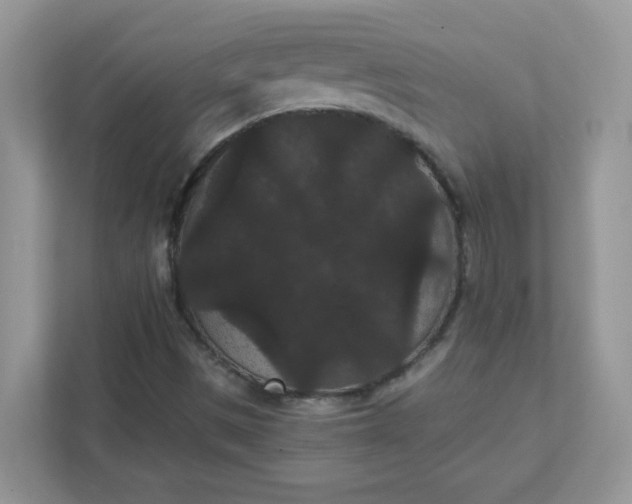 X0000111421497200907271132