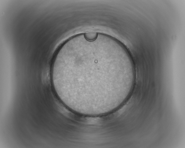 X0000111421498200907271132