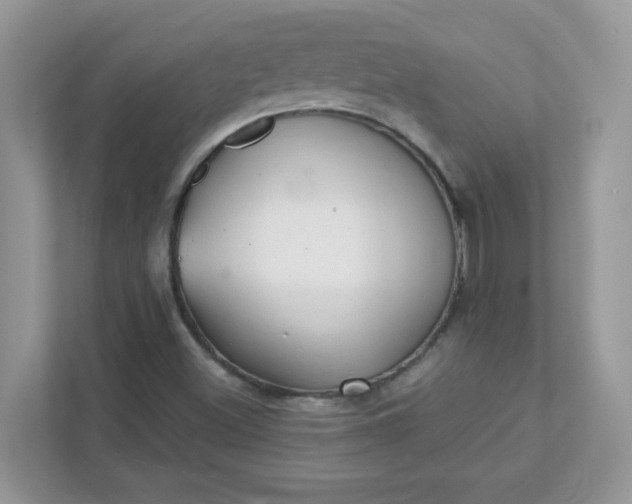 X0000111421500200907271132