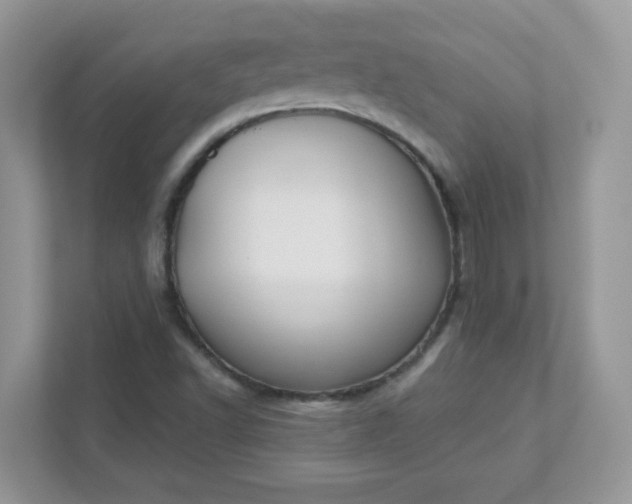 X0000111421502200907271132