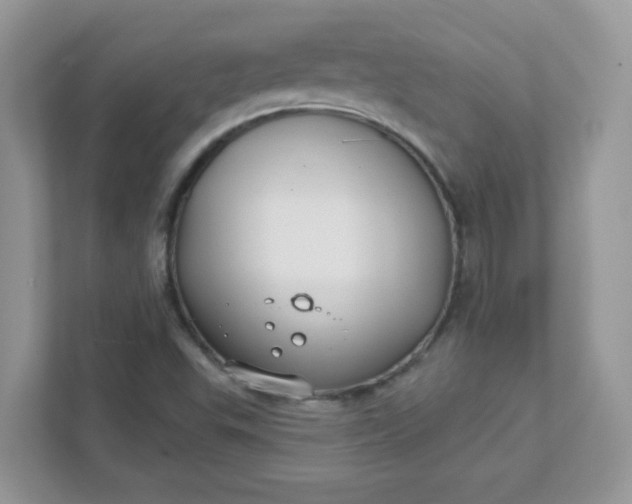 X0000111421503200907271132