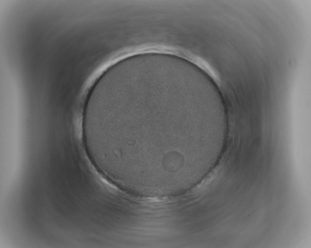 X0000111421504200907271132