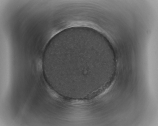 X0000111421505200907271132