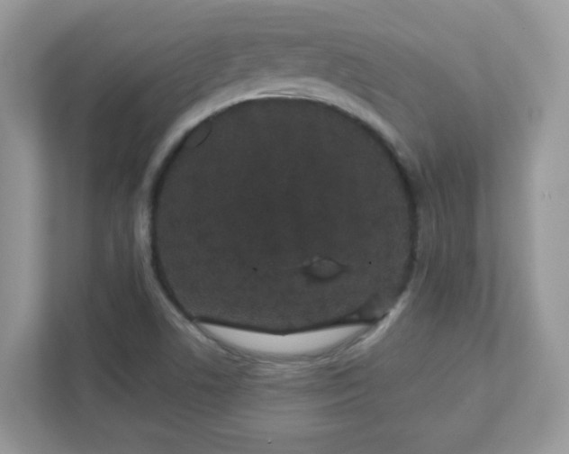 X0000111421506200907271132