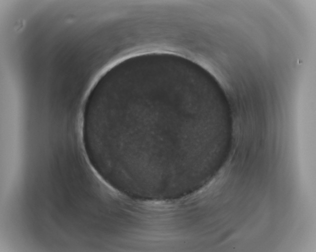 X0000111421508200907271132