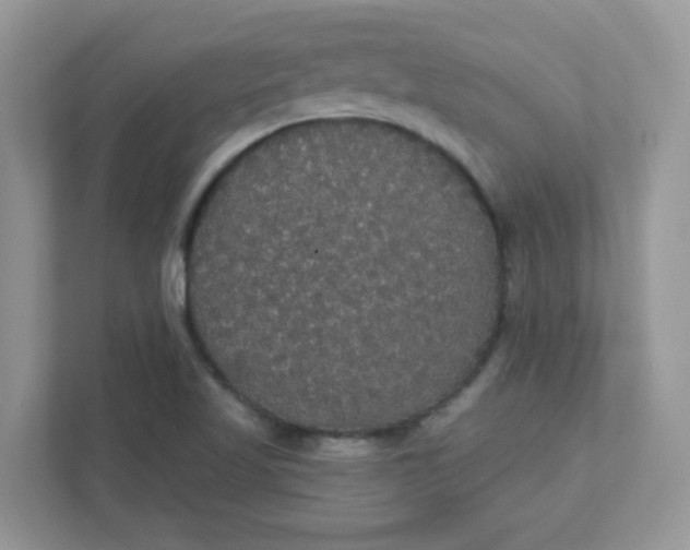 X0000111421509200907271132