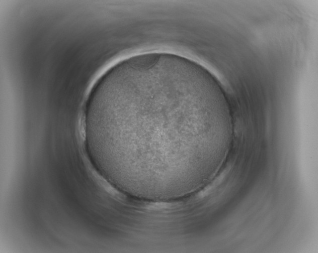 X0000111421510200907271132