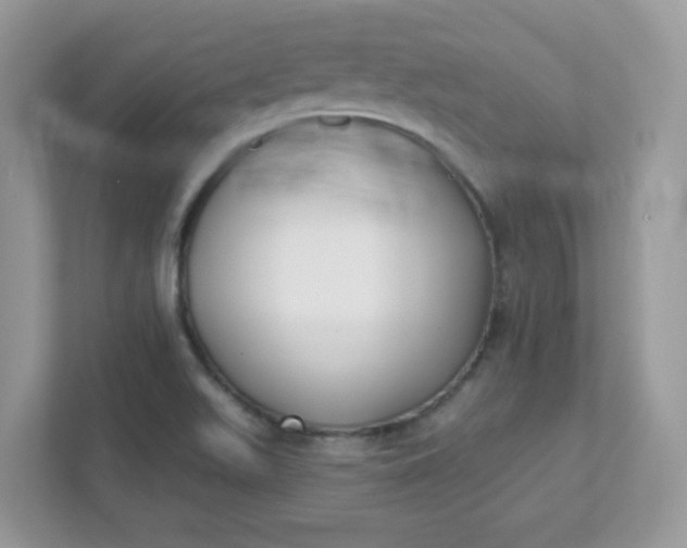 X0000111421511200907271132