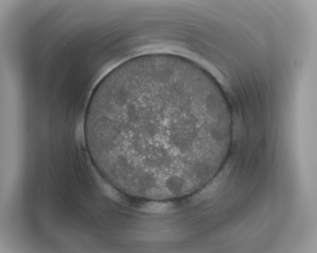 X0000111421513200907271132