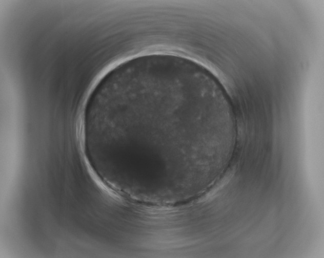 X0000111421515200907271132