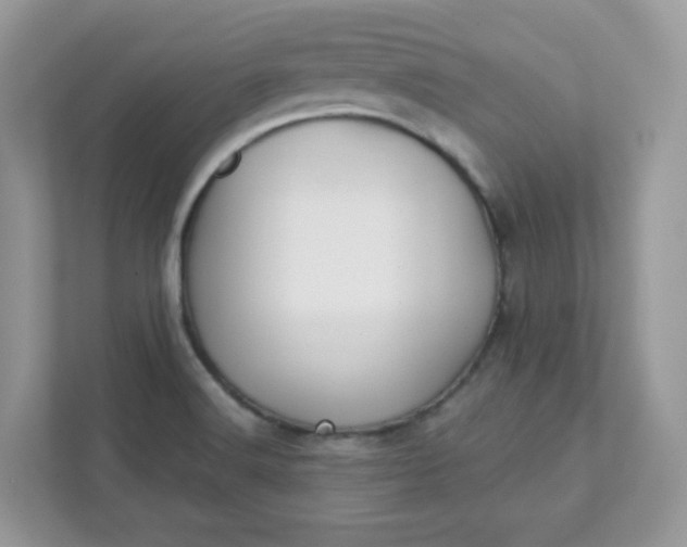 X0000111421516200907271132