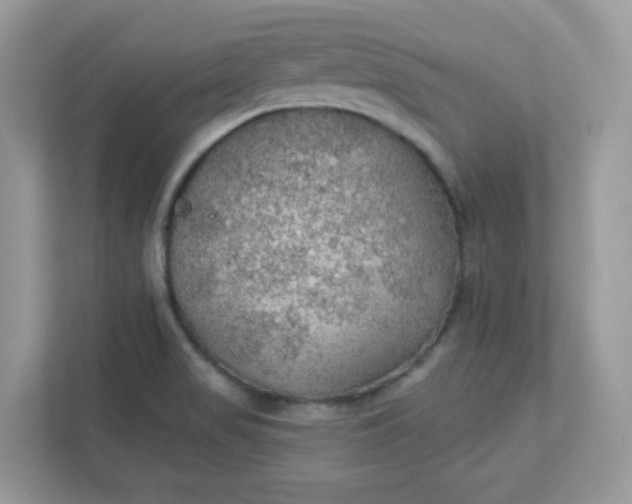 X0000111421517200907271132