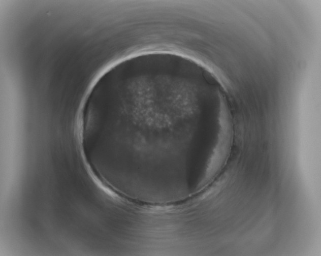 X0000111421519200907271132