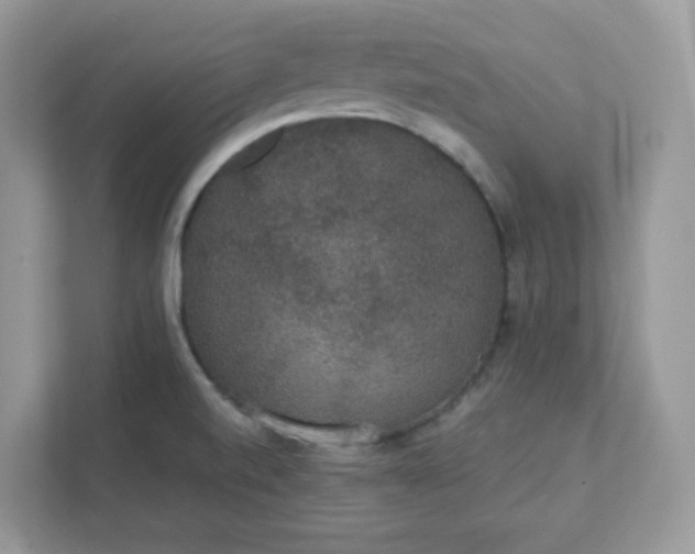 X0000111421520200907271132