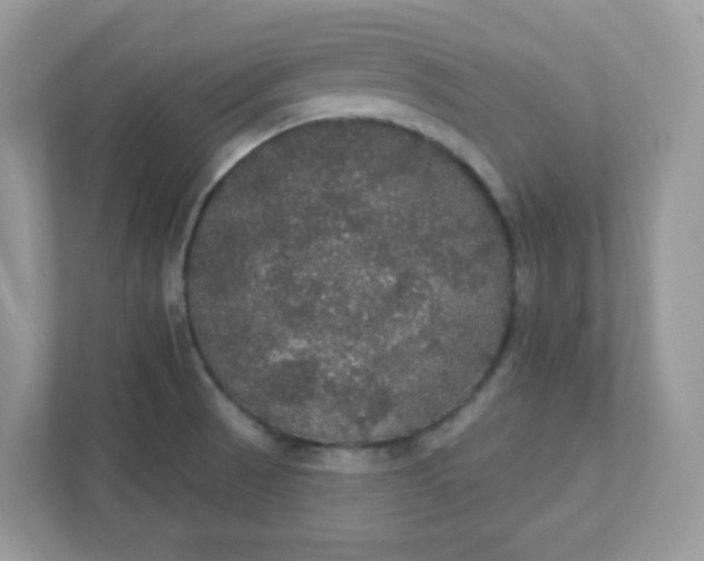 X0000111421521200907271132