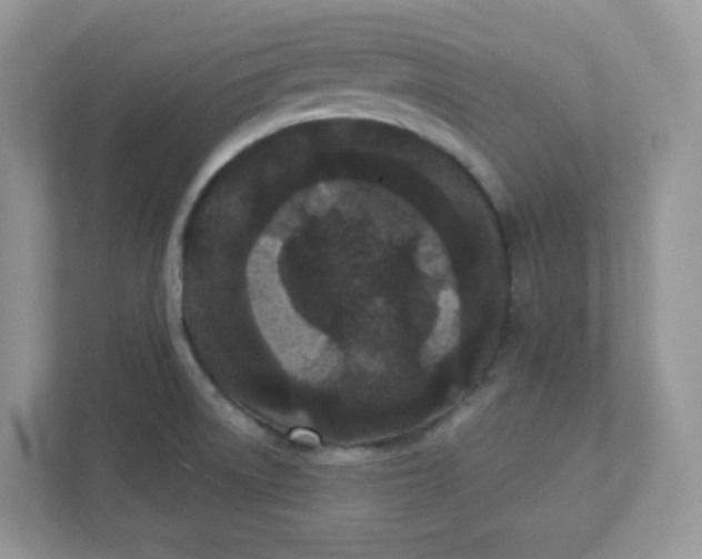 X0000111421522200907271132